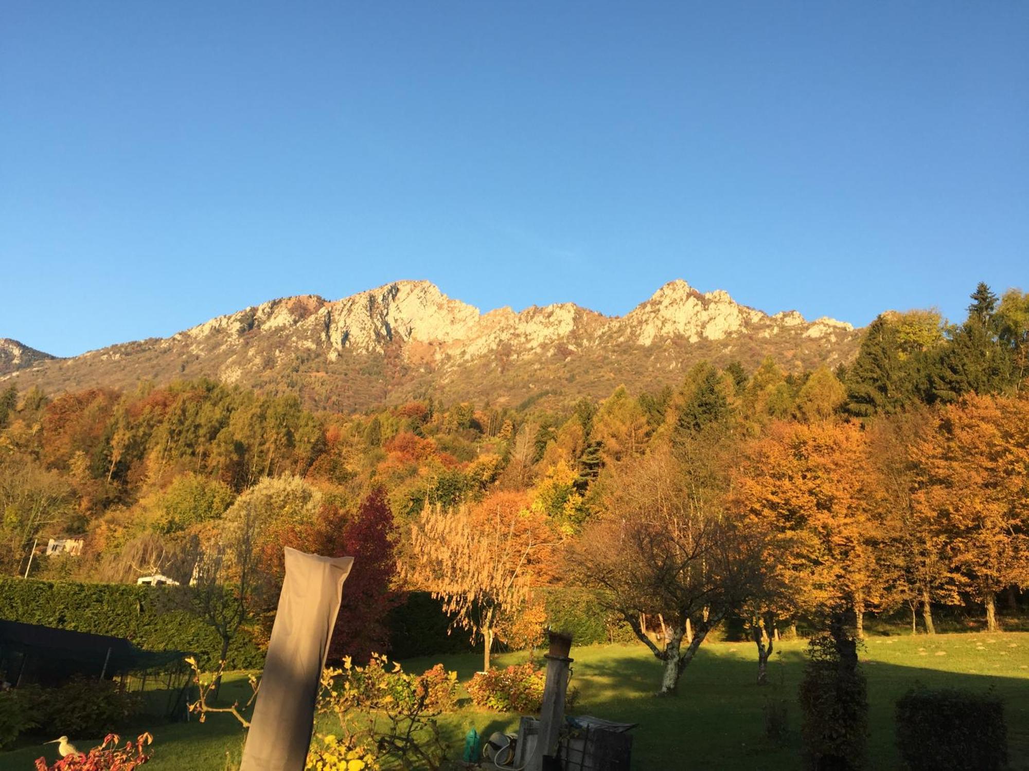 费奥克别墅住宿加早餐旅馆 Sospirolo 外观 照片